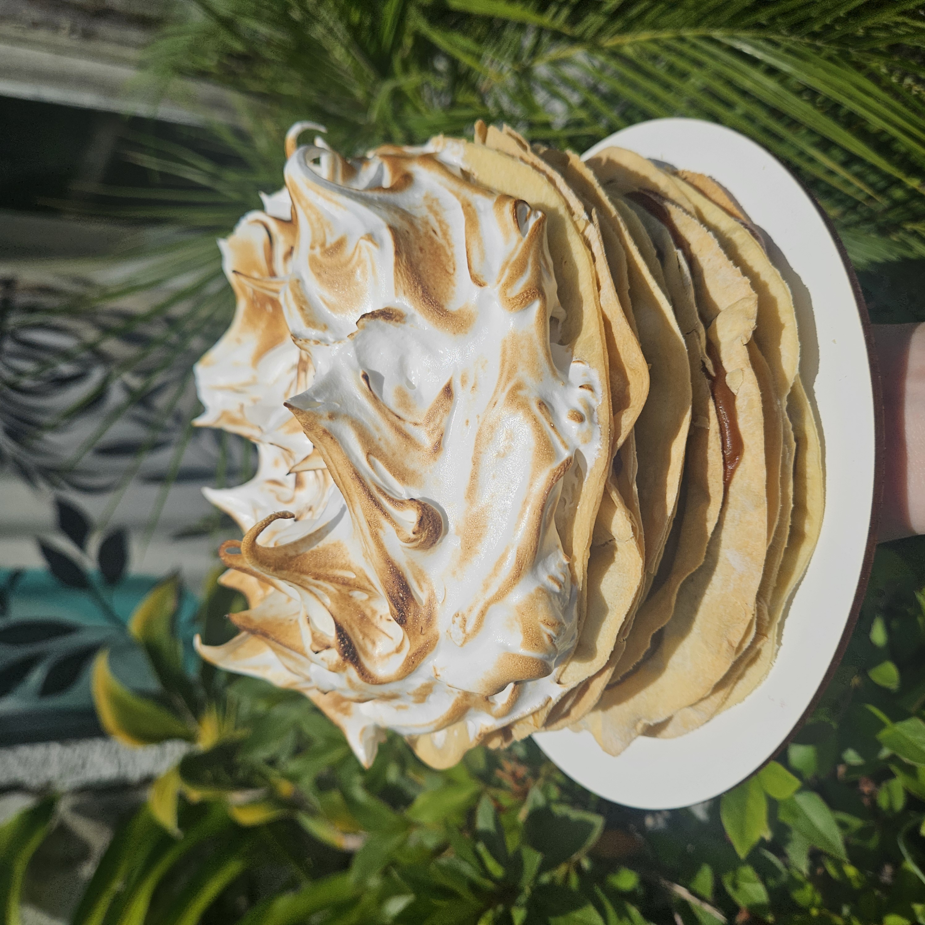 Rogel